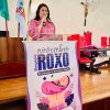 Simpósio sobre prematuridade reúne especialistas na Santa Casa de Santos